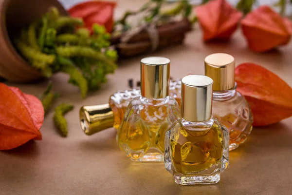 Пляшки парфумів з інгредієнтами — стокове фото