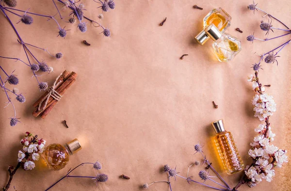 Bottles of perfume with ingredients — Stock Photo, Image