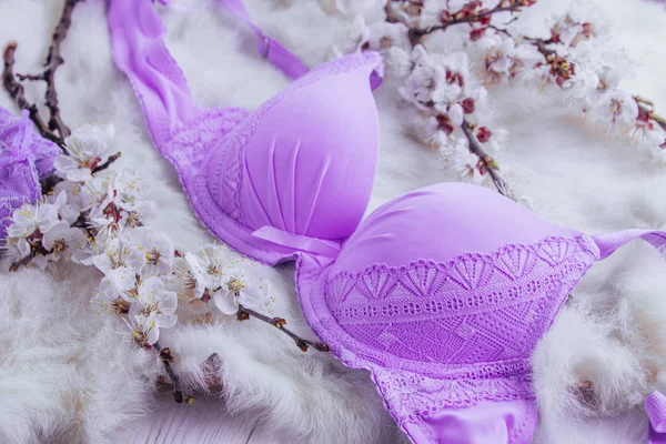 Set of female underwear with apricot blossom — Stock Photo, Image