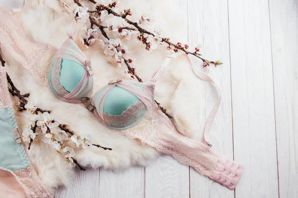 Set of female underwear with apricot blossom — Stock Photo, Image