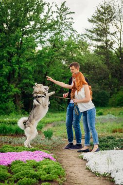genç bir çift bir köpek parkta yürüyüş