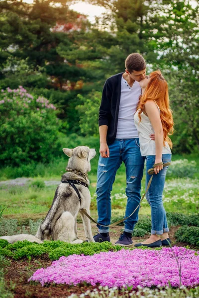 Um jovem casal passeando um cão no parque — Fotografia de Stock