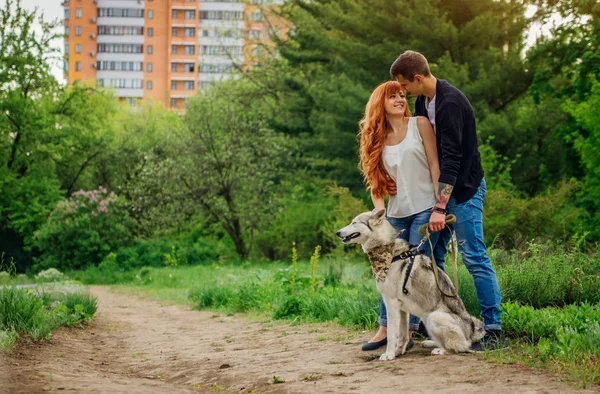 A young couple walking a dog in the park — Stock Photo, Image