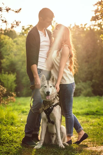 Un jeune couple promenant un chien dans le parc — Photo
