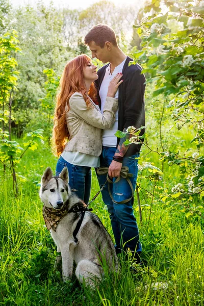 Una joven pareja paseando a un perro en el parque —  Fotos de Stock