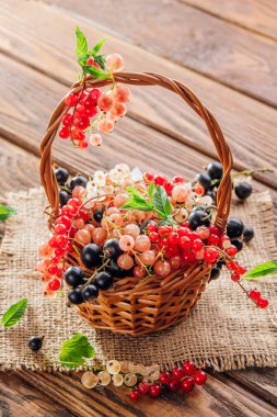 Kırmızı, pembe, siyah ve beyaz Frenk üzümü