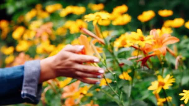 Femme touche lys orange 