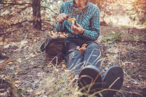 Homem limpa cogumelos oleosos — Fotografia de Stock