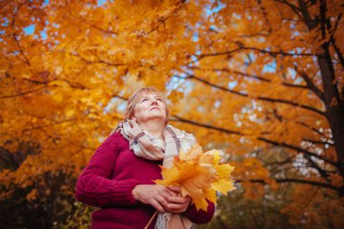 Orta yaşlı bir kadın akçaağaç yaprakları toplar