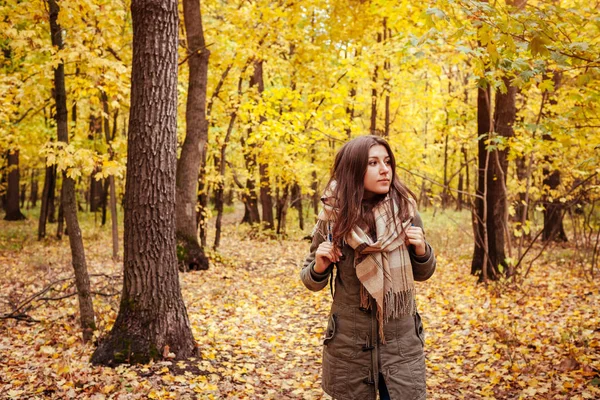 Passeio turístico pela floresta de outono — Fotografia de Stock