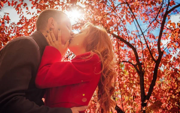 Giovani baci coppia nella foresta autunnale tra — Foto Stock