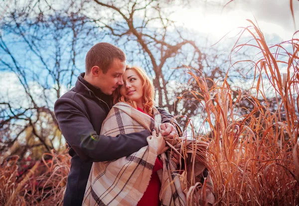 Yüksek otların arasında sonbahar ormandaki genç çift hugs