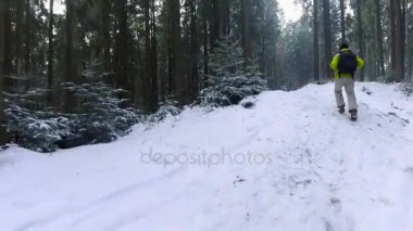 Havadan görünümü Karpatlar ormanında kış yürüyüş bir turist. 4k video