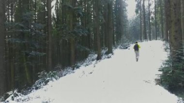 Havadan görünümü Karpatlar ormanında kış yürüyüş bir turist. 4k video