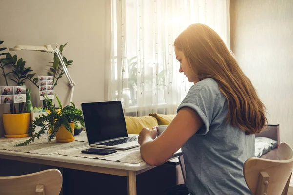 Young woman using her laptop in the livingroom — Stock Photo, Image