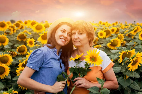 Madre de mediana edad y su hija abrazándose en el campo de girasol —  Fotos de Stock