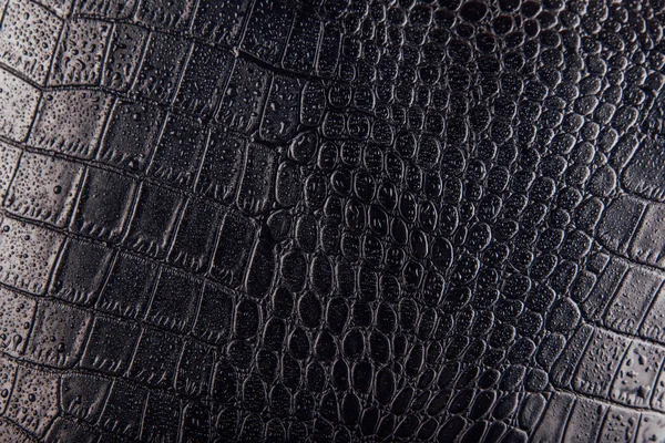 Crocodile or snake skin leather background. Black texture covered with water drops — Stock Photo, Image