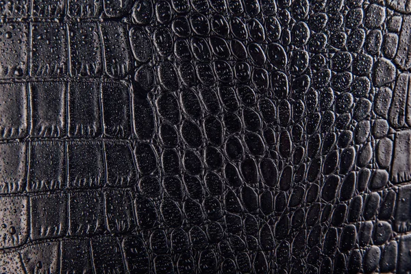 Black crocodile leather. Stock Photo by ©Leonardi 2943941