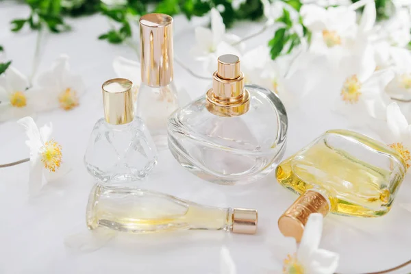 Natural perfume concept. Bottles of perfume with white flowers. Floral fragrance — Stock Photo, Image