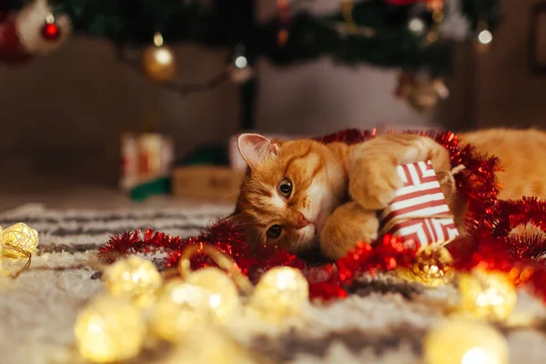 Ginger cat playing with garland and gift box under Christmas tree. Christmas and New year concept — Stock Photo, Image