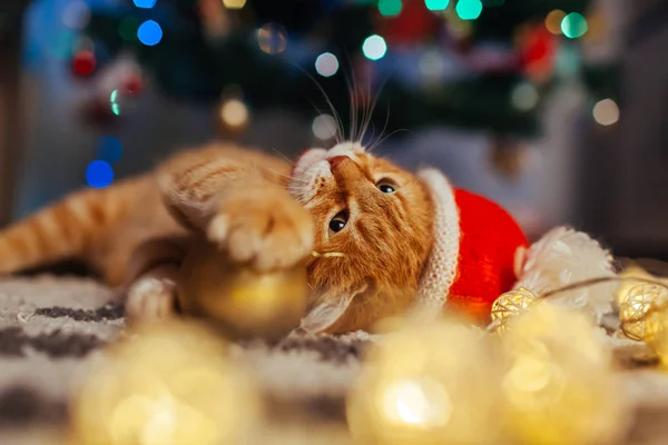 Ginger cat wears Santa's hat under Christmas tree playing with lights and ball. Christmas and New year concept — Stock Photo, Image