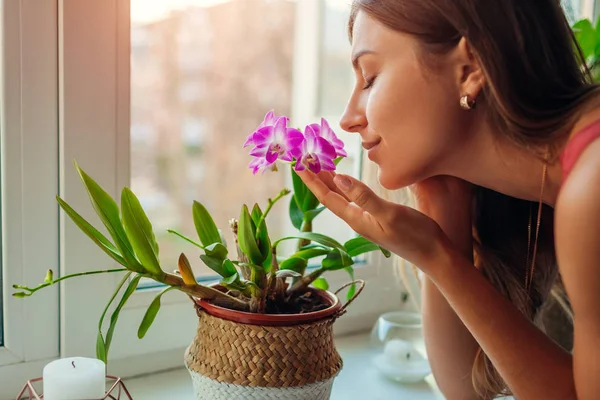 Женщина, нюхающая дендробиевую орхидею на подоконнике. Домохозяйка заботится о домашних растениях и цветах . — стоковое фото