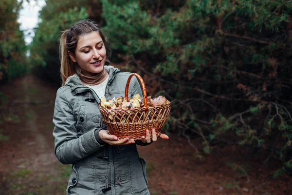 Woman holds basket of oily mushrooms in autumn forest. Picking up fresh organic Slippery Jack mushrooms — Stock Photo, Image