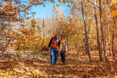 Sonbahar aktiviteleri. Sonbahar parkında yürüyen yaşlı çift. Yaşlı adam ve kadın sarılıyor ve dışarıda takılıyor.