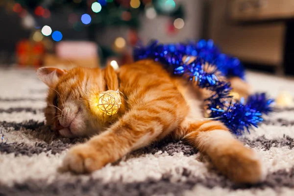 Ingwerkatze spielt mit Girlanden und Lametta unter dem Weihnachtsbaum. Weihnachts- und Neujahrskonzept — Stockfoto