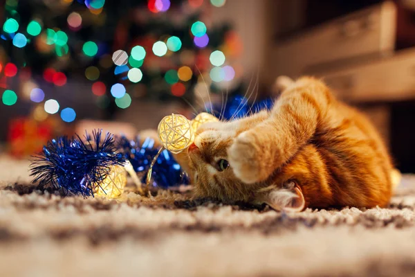 Rudy kot bawi się girlandą i świecidełkiem pod choinką. Koncepcja Bożego Narodzenia i Nowego Roku — Zdjęcie stockowe