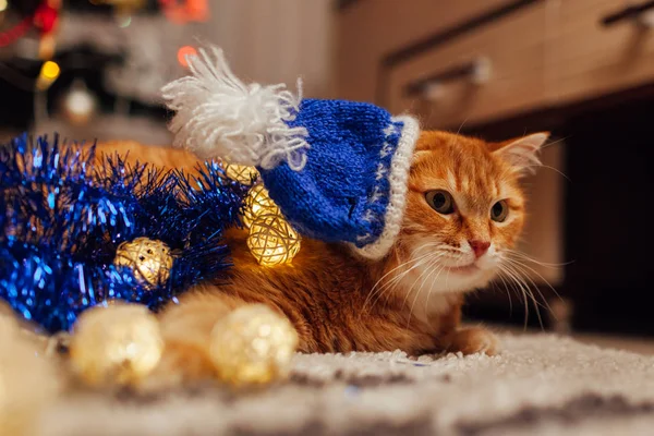 Zázvorová kočka nosí Santův klobouk pod vánočním stromečkem a hraje si se světly a cinknutím. Koncept Vánoc a Nového roku — Stock fotografie