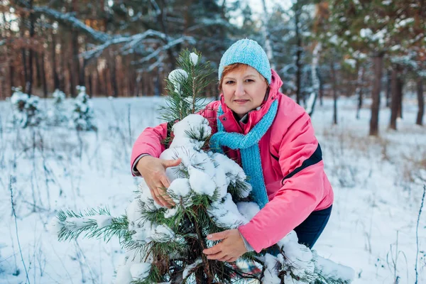 冬季散步。 老妇人在森林里拥抱冷杉树，享受着多雪的天气 — 图库照片