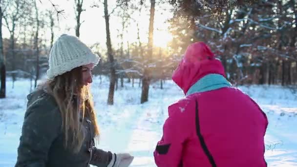 Mujeres Limpiando Nieve Que Cubrían Abrigos Bosque Invernal Riendo Familia — Vídeos de Stock