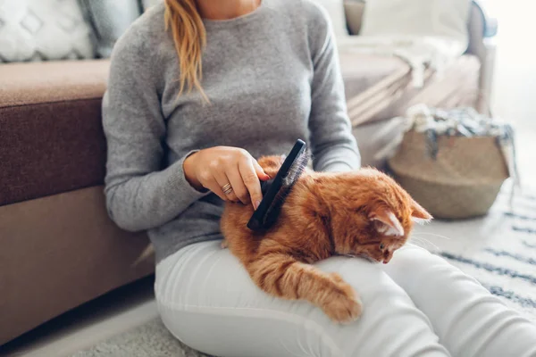 Przeczesywanie rudego kota szczotką grzebieniową w domu. Kobieta właściciel dbanie o zwierzaka, aby usunąć włosy. — Zdjęcie stockowe