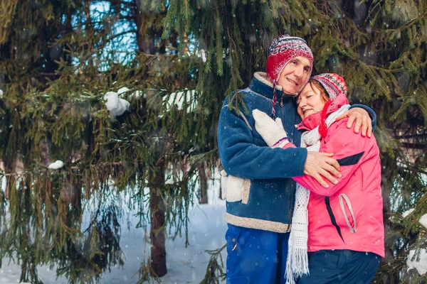 Valentine's Day. Senior family couple hugging in winter forest. Happy man and woman walking outdoors.