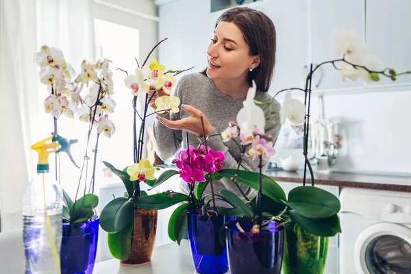 Orchidee domowe kwiaty. Kobieta sprawdza swoje orchidee w domu. Gospodyni domowa dbająca o domowe rośliny i kwiaty. Styl życia — Zdjęcie stockowe