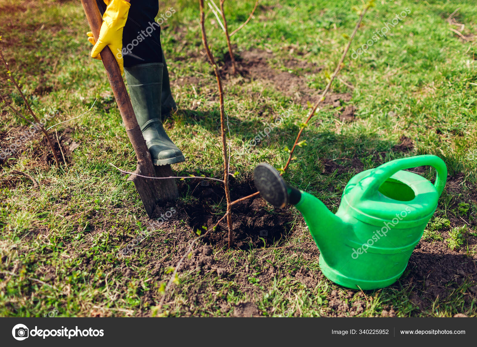 Gärtner pflanzt Baum im Frühlingsgarten mit Schaufel. Bauer, der im