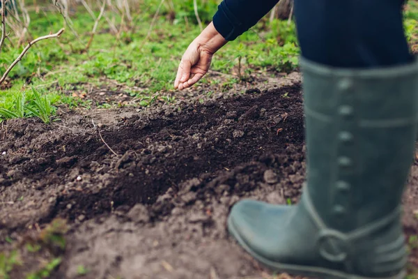Çiftçi toprağa tohum ekiyor. Bahar bahçesinde maydanoz eken yaşlı bir kadın. Tohumları tutan işçi. Tarım