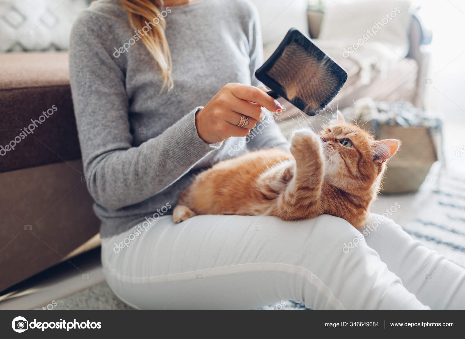 How Do You Remove Dog Hair From Wool