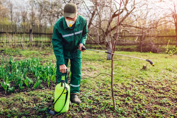 Senior Boer Die Handmatig Pesticiden Spuit Bomen Tegen Insecten Spuiten — Stockfoto