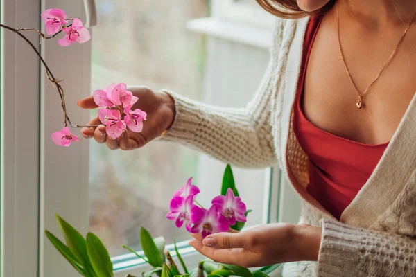 Dendrobium Orchid Bougainvillea Жінка Доглядає Домашні Рослини Карантині Жінка Квіти — стокове фото