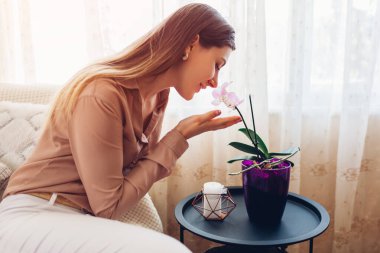 Oturma odasındaki masanın üzerinde orkide kokan bir kadın. Ev hanımı ev bitkileriyle ve çiçeklerle ilgileniyor. İç dekorasyon