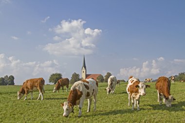 Hac Kilisesi, St. Leonhard Nussdorf içinde am Inn