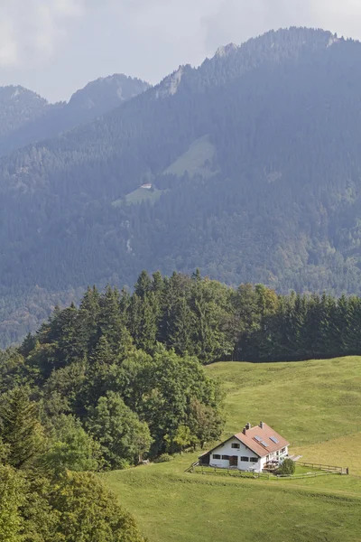 Daffnerwaldalm  im Chiemgau — Fotografia de Stock