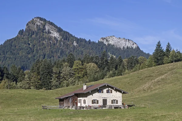 Kaseralm 在 Chiemgau 的阿尔卑斯山 — 图库照片