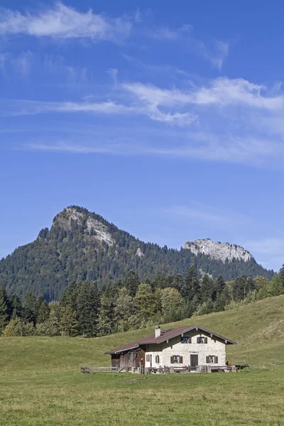 Kaseralm в Альпах Chiemgau — стокове фото