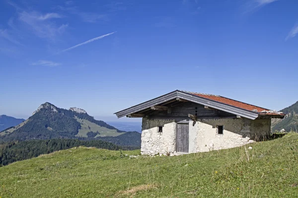 Nesselbrand βοσκοτόπων στις Άλπεις Chiemgau — Φωτογραφία Αρχείου