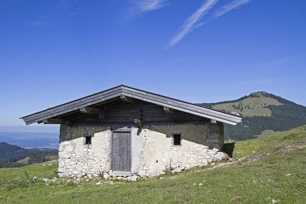 Nesselbrand 在 Chiemgau 阿尔卑斯山牧场 — 图库照片