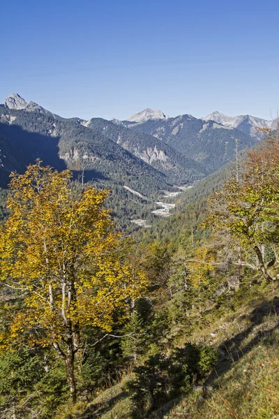 Otoño en el Karwendel —  Fotos de Stock