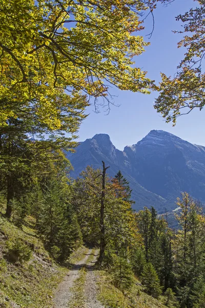 在 Karwendel 的秋天 — 图库照片